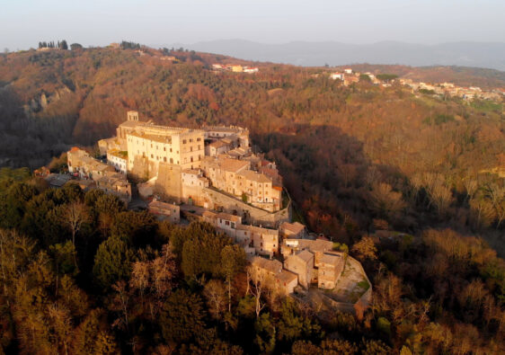 Roccalvecce, Costaguti Castle